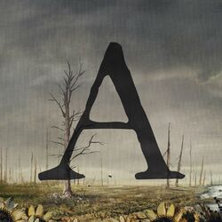 Cover of A