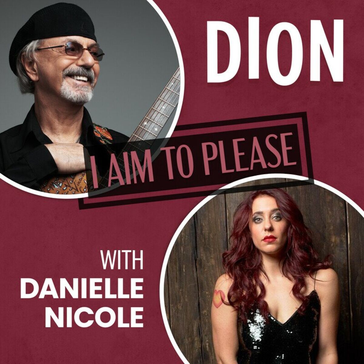 Album cover of I Aim To Please