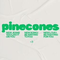 Cover of Pinecones