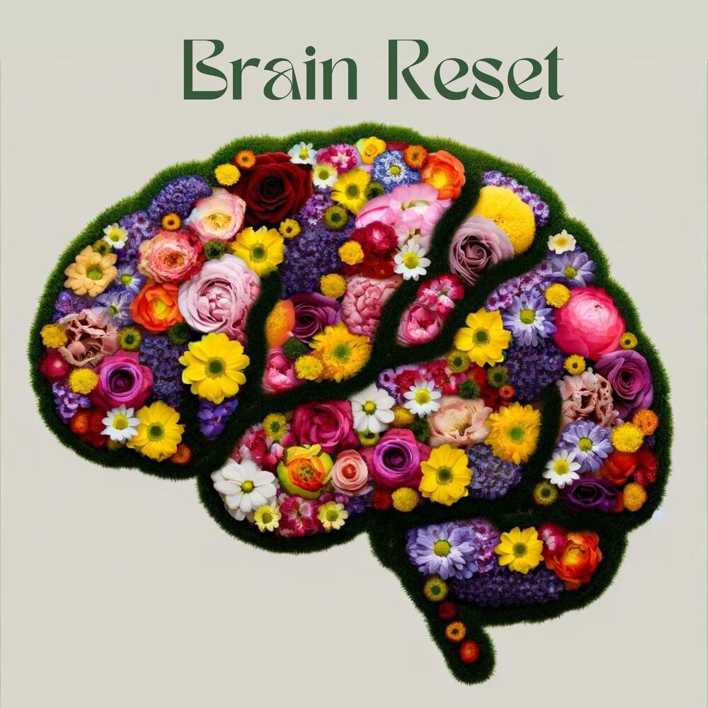 Picture of Brain Reset: Meditative Relaxation for Knowledge Assimilation