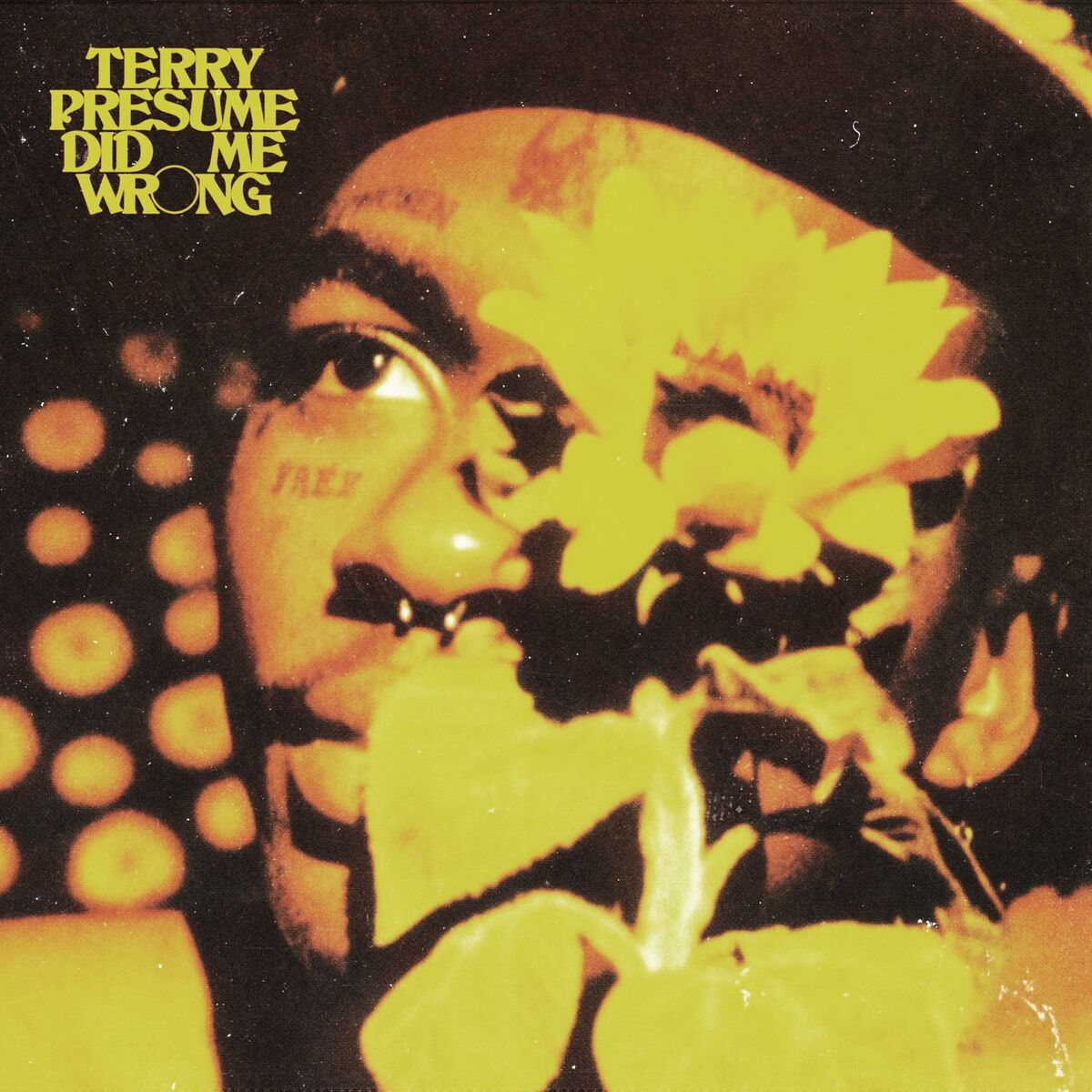 Album cover of Did Me Wrong