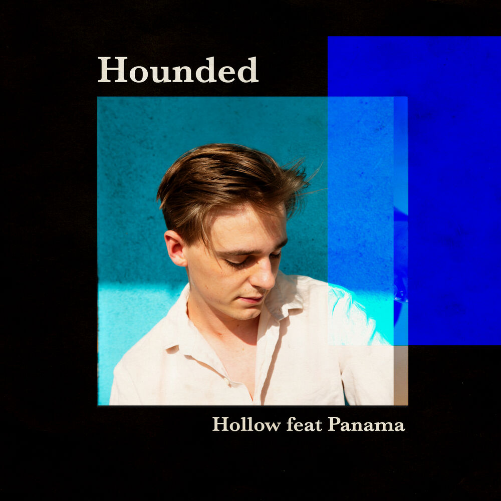 Picture of Hollow
