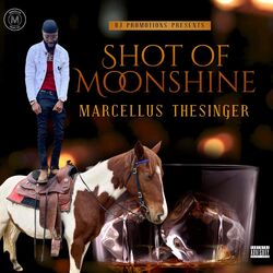 Cover of Shot of Moonshine