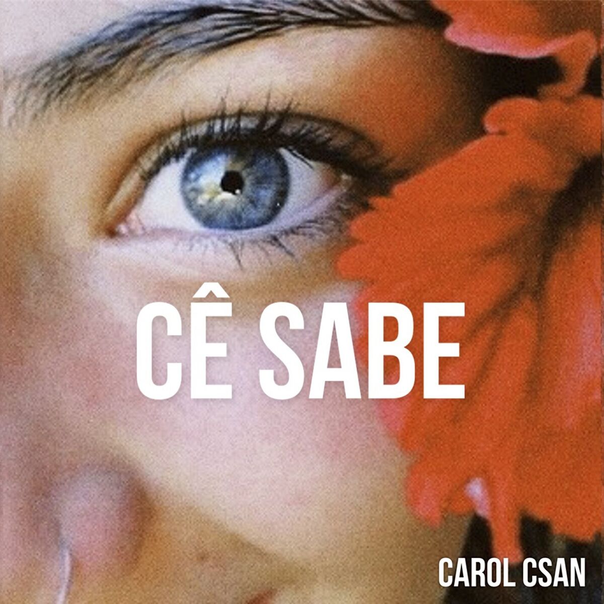 Album cover of Cê Sabe