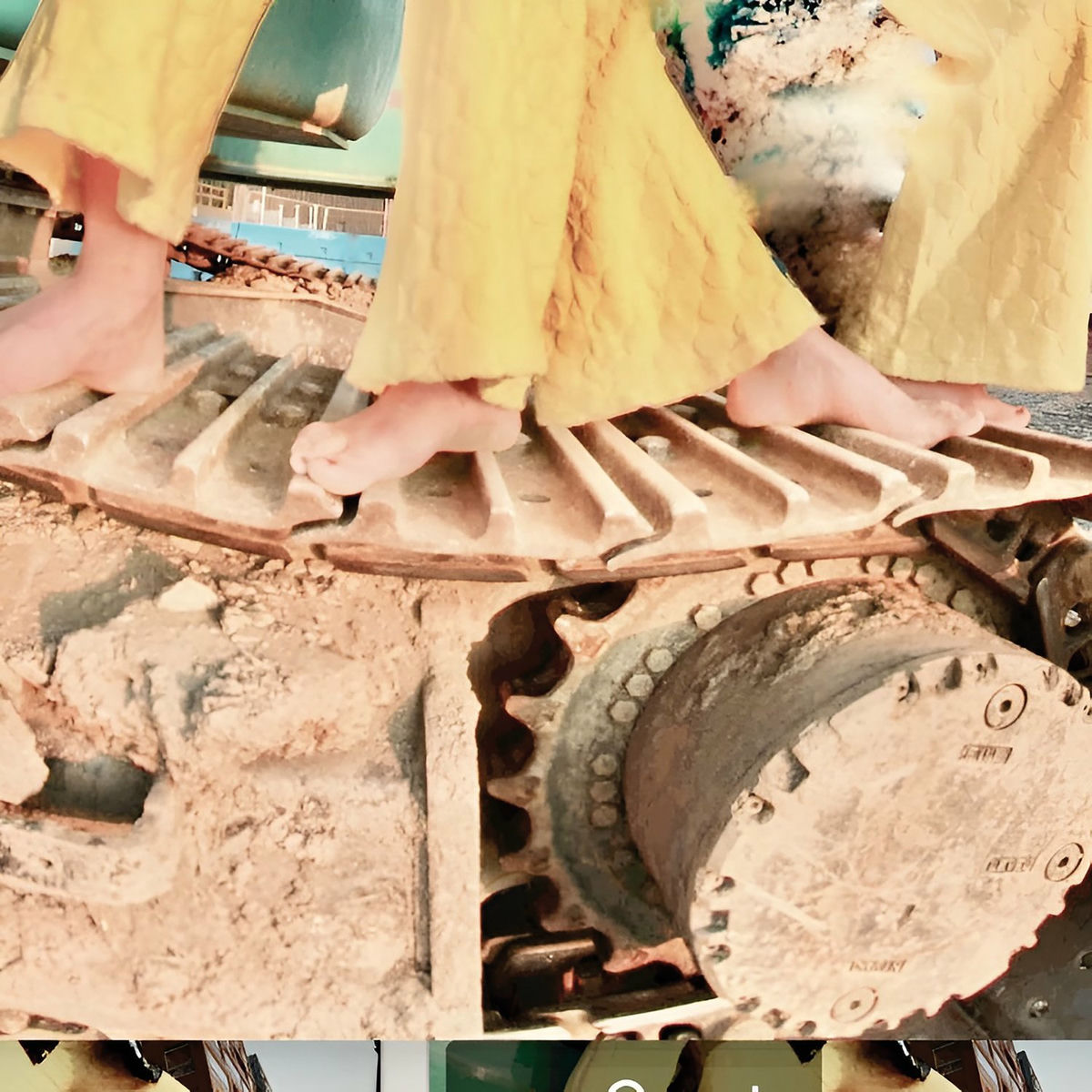 Album cover of Muzi ja faia