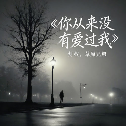你从来没有爱过我 (深情男生对唱版)