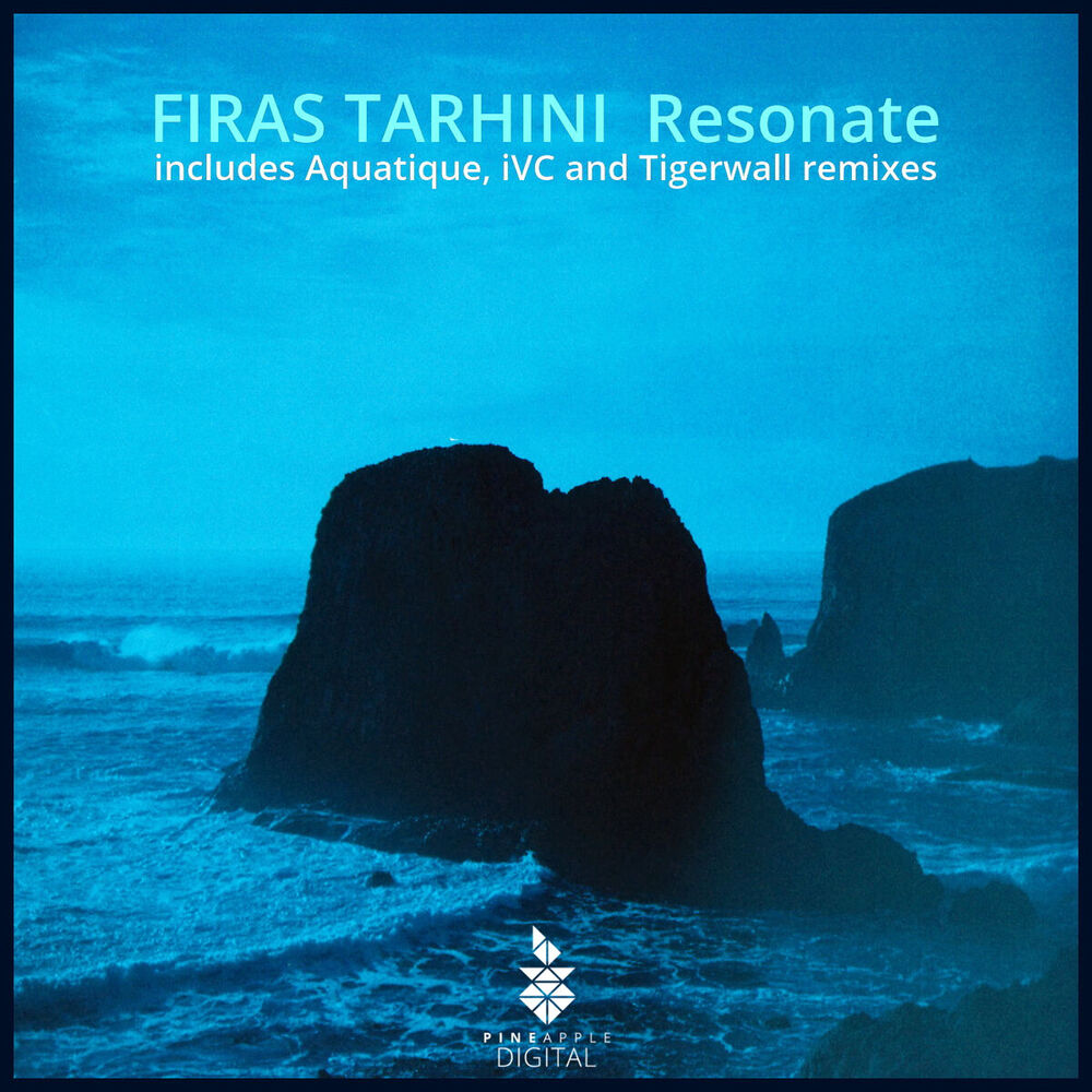 Picture of Resonate
