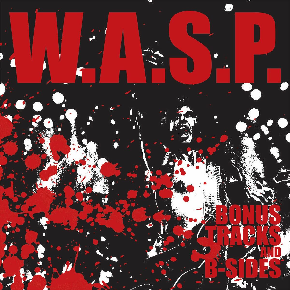 Album cover of Bonus Tracks And B Sides