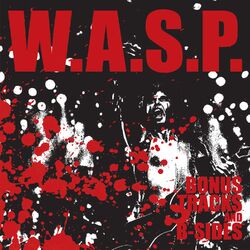 Cover of Bonus Tracks And B Sides