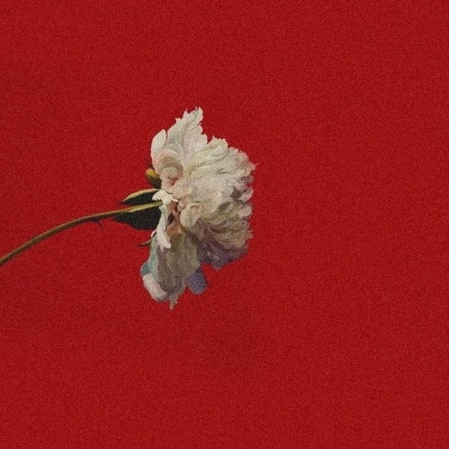 Album cover of Scarbieuse.