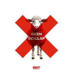 Cover of GEEN SCHAAP