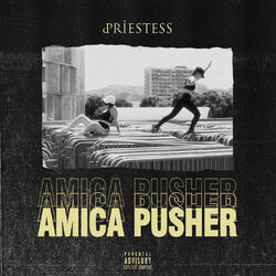 Cover of Amica Pusher