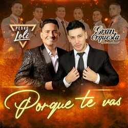 Cover of Porque Te Vas