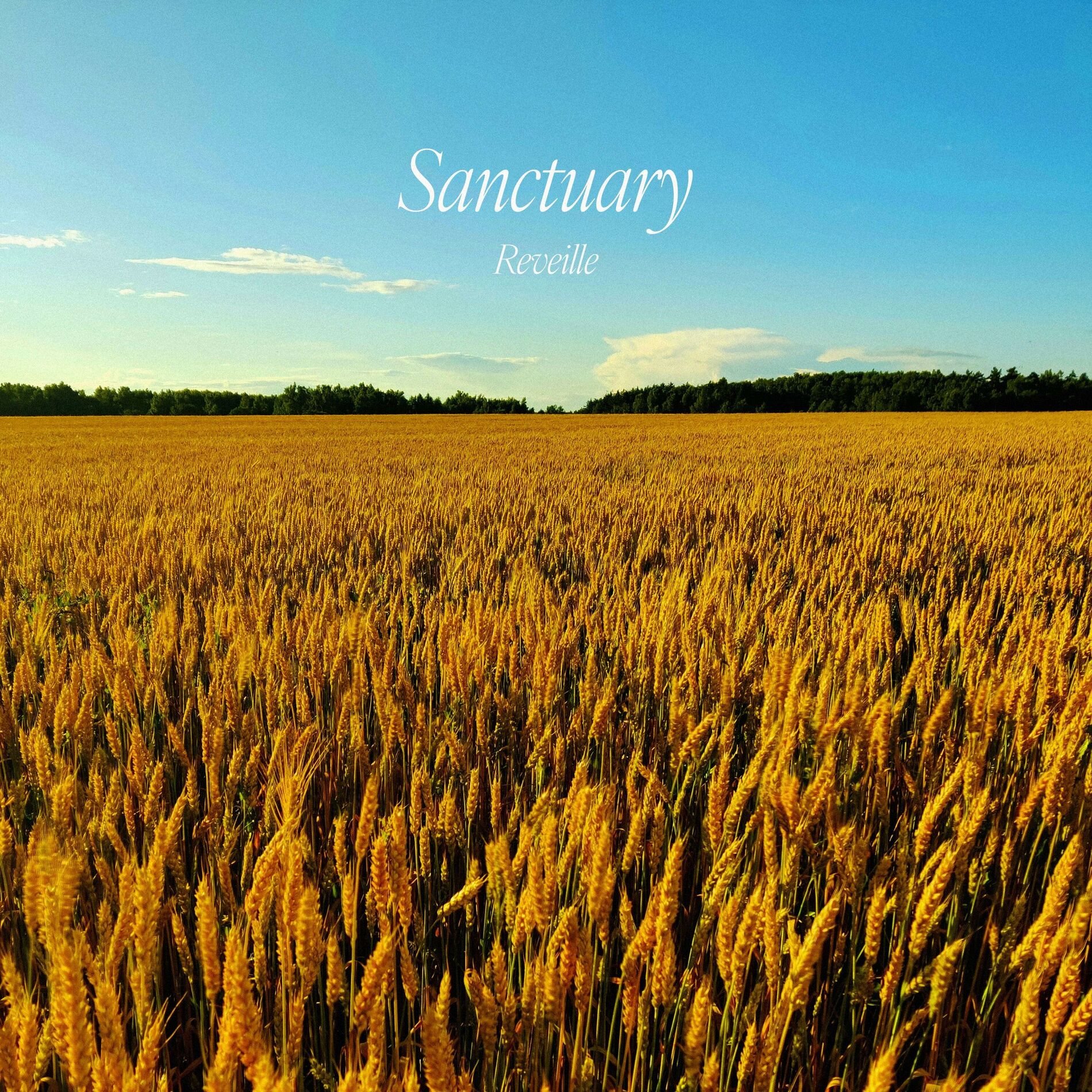 Album cover of Sanctuary