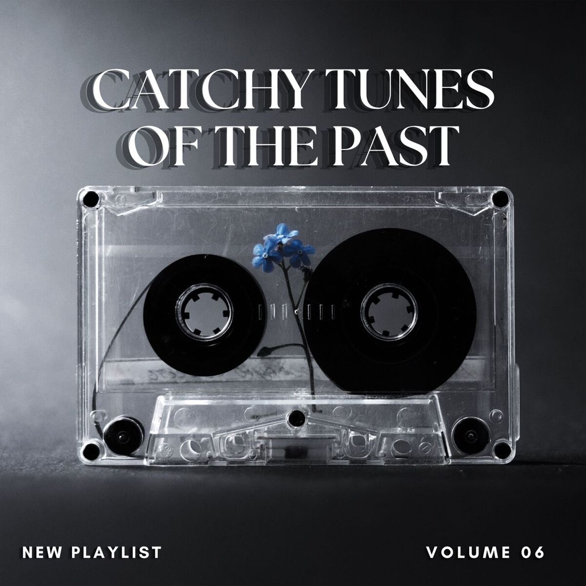 Album cover of Catchy Tunes Of The Past Vol 6