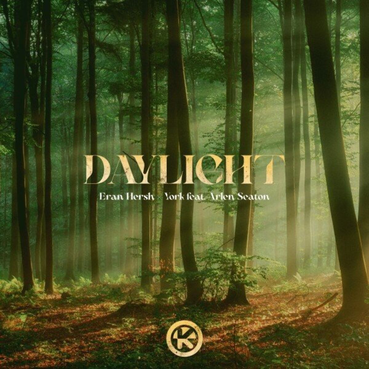 Album cover of Daylight