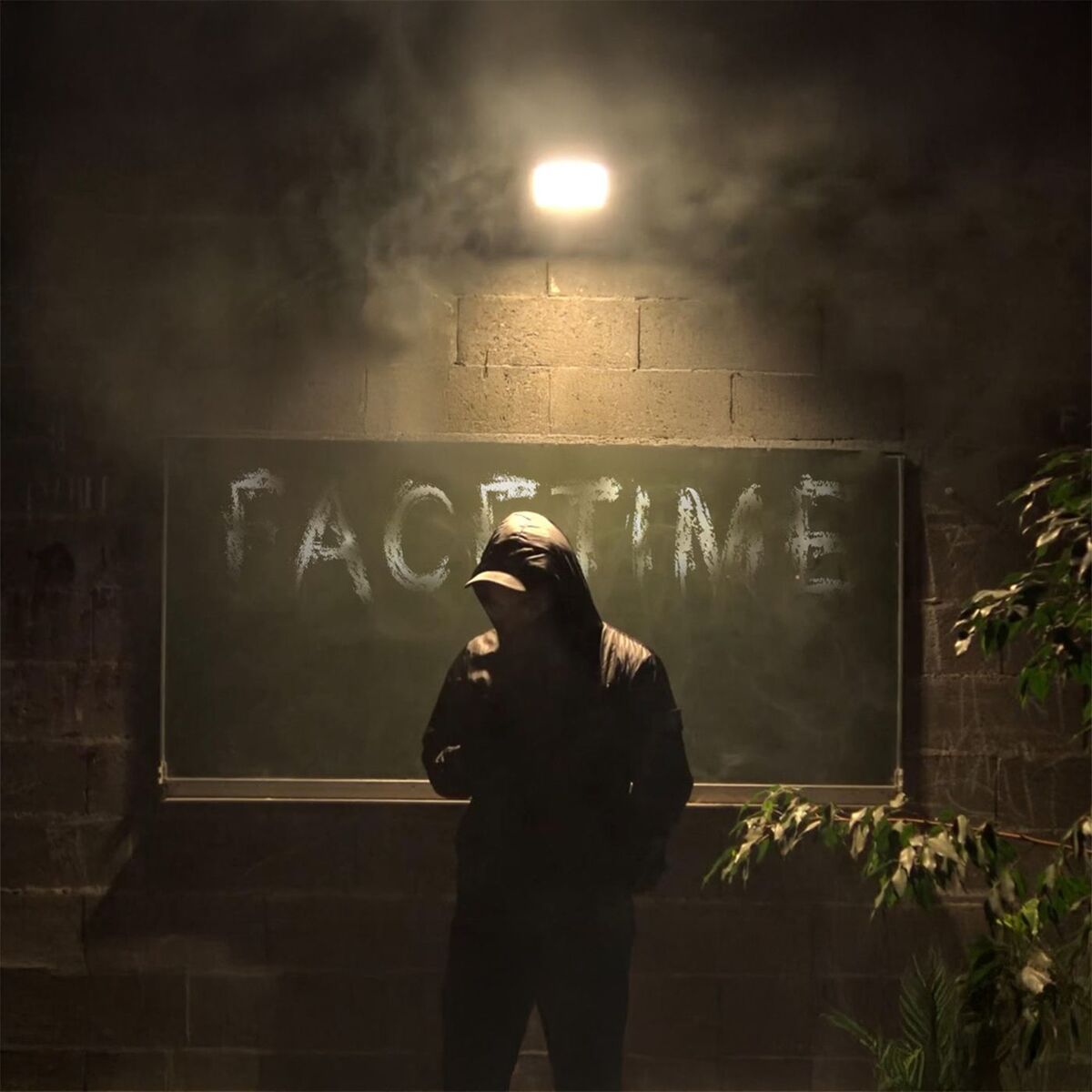 Album cover of FACETIME
