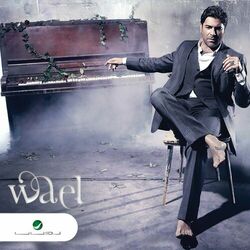 Cover of Wael 2015
