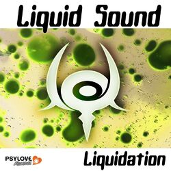 Cover of Liquidation