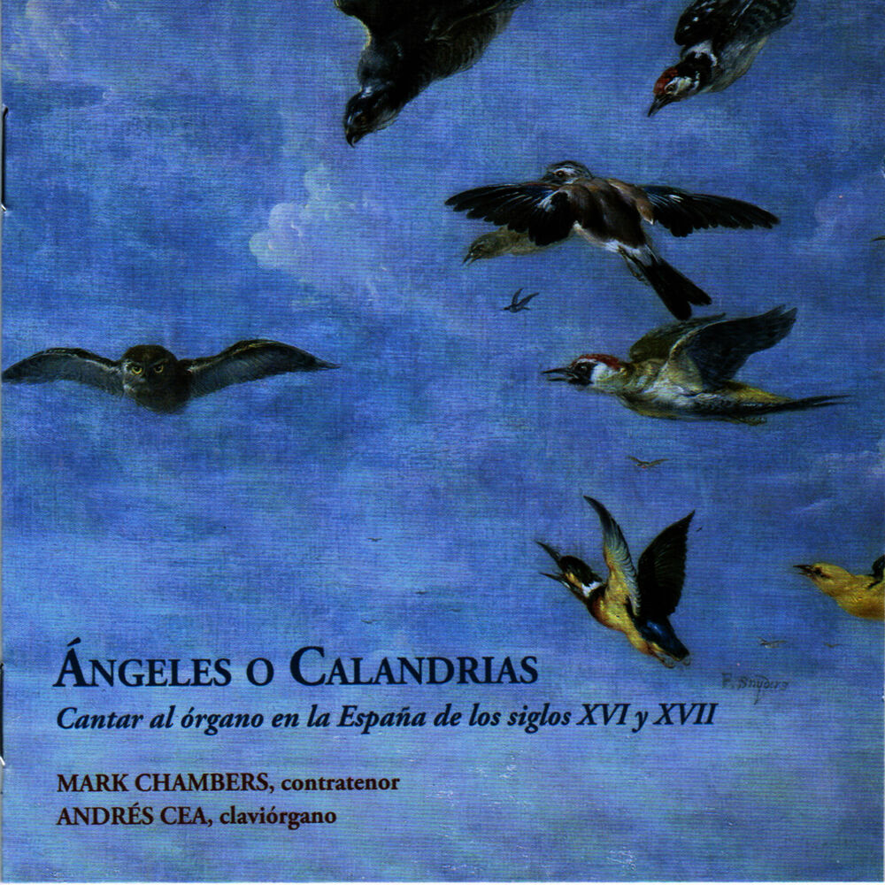 Picture of Angeles o Calandrias