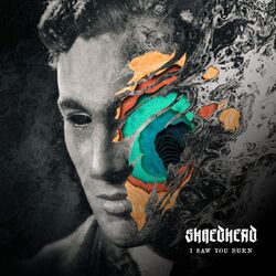 Cover of I Saw You Burn
