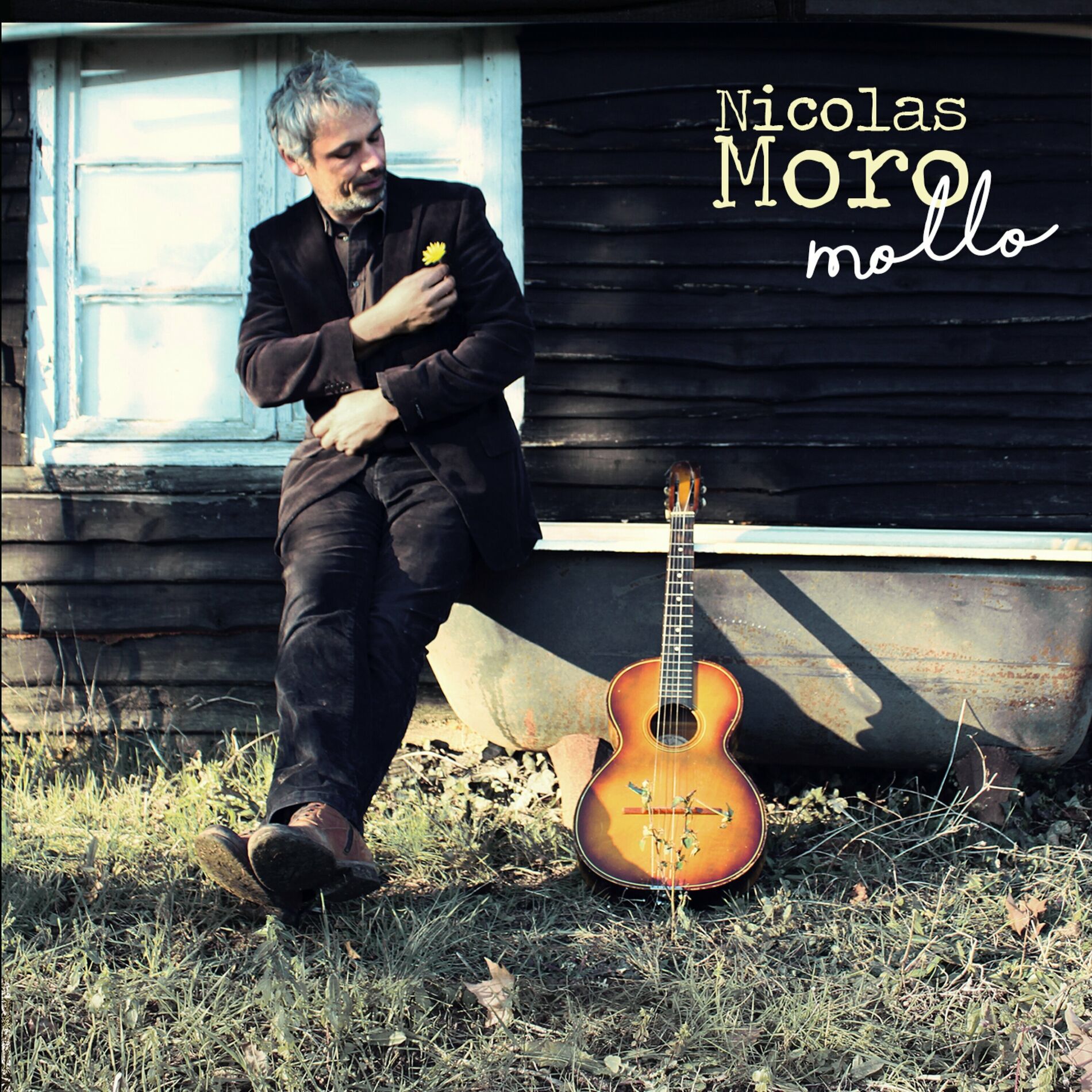 Album cover of Mollo