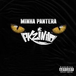 Cover of MINHA PANTERA