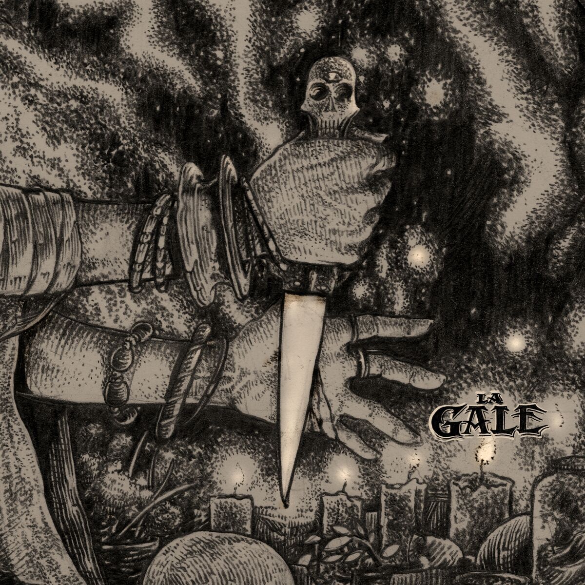 Album cover of Qui m'aime me suive