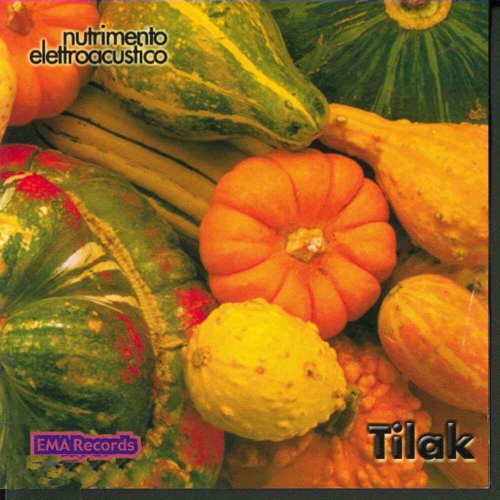 Picture of Nutrimento elettroacustico