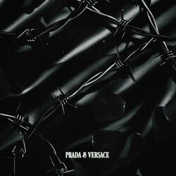 Cover of PRADA & VERSACE