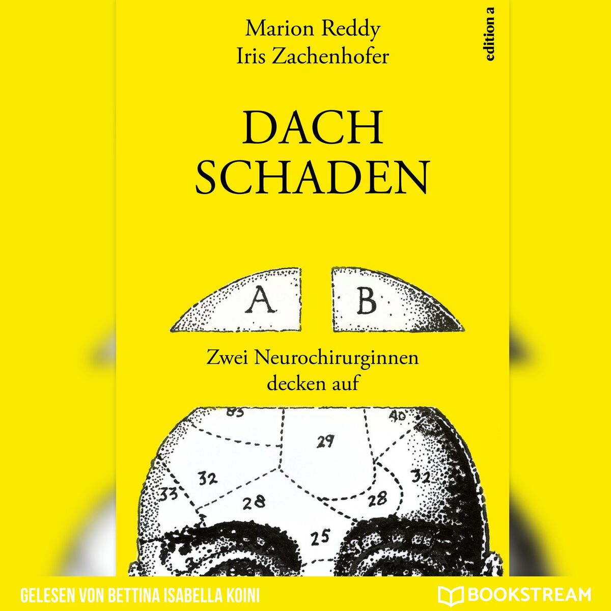 Album cover of Dachschaden - Zwei Neurochirurginnen decken auf (Ungekürzt)