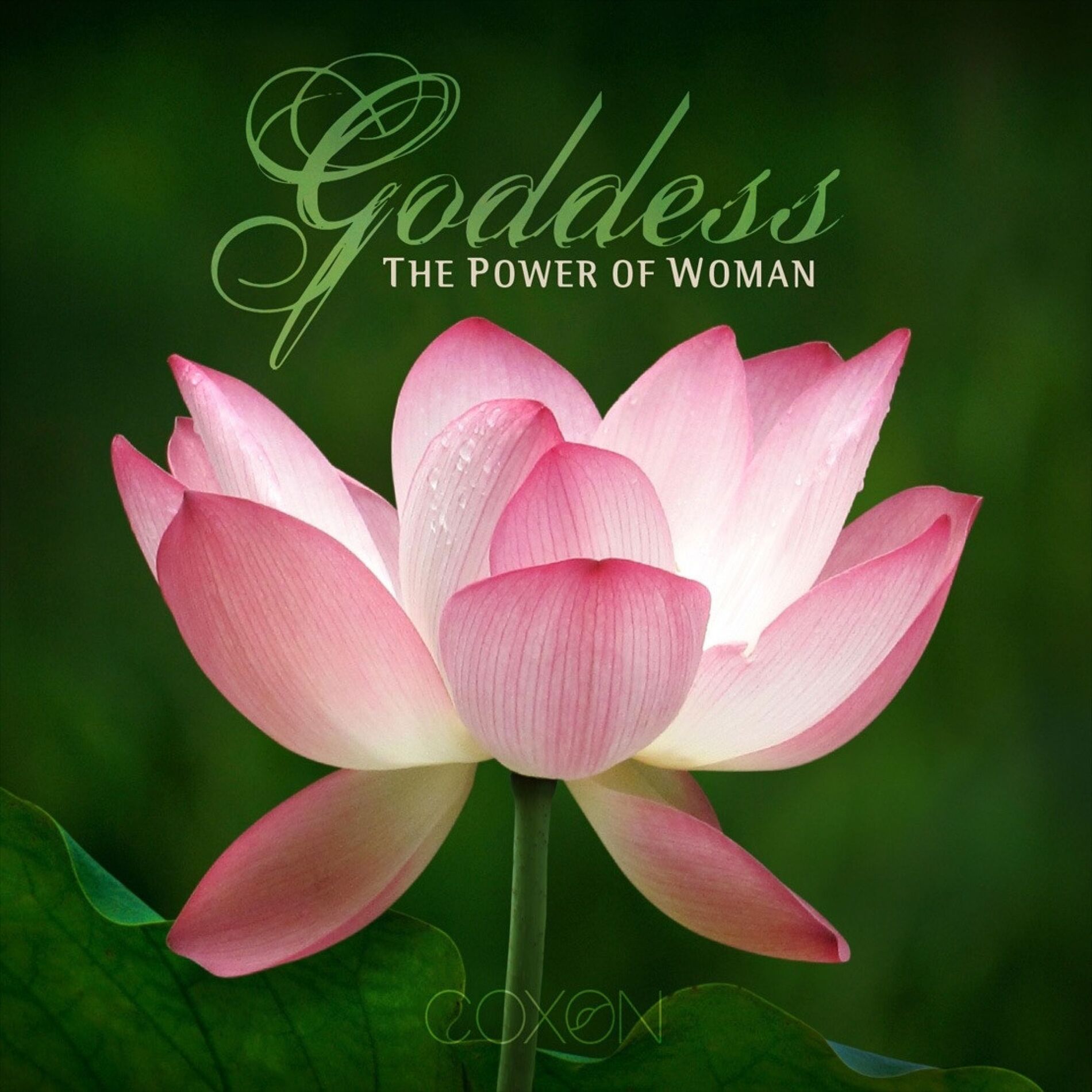 Album cover of Goddess ... The Power of Woman