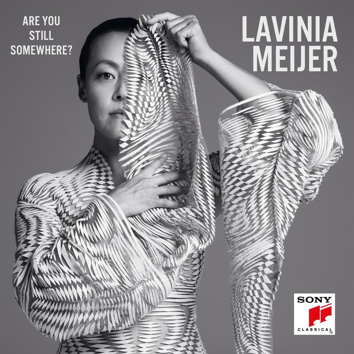 Album cover of Solitude