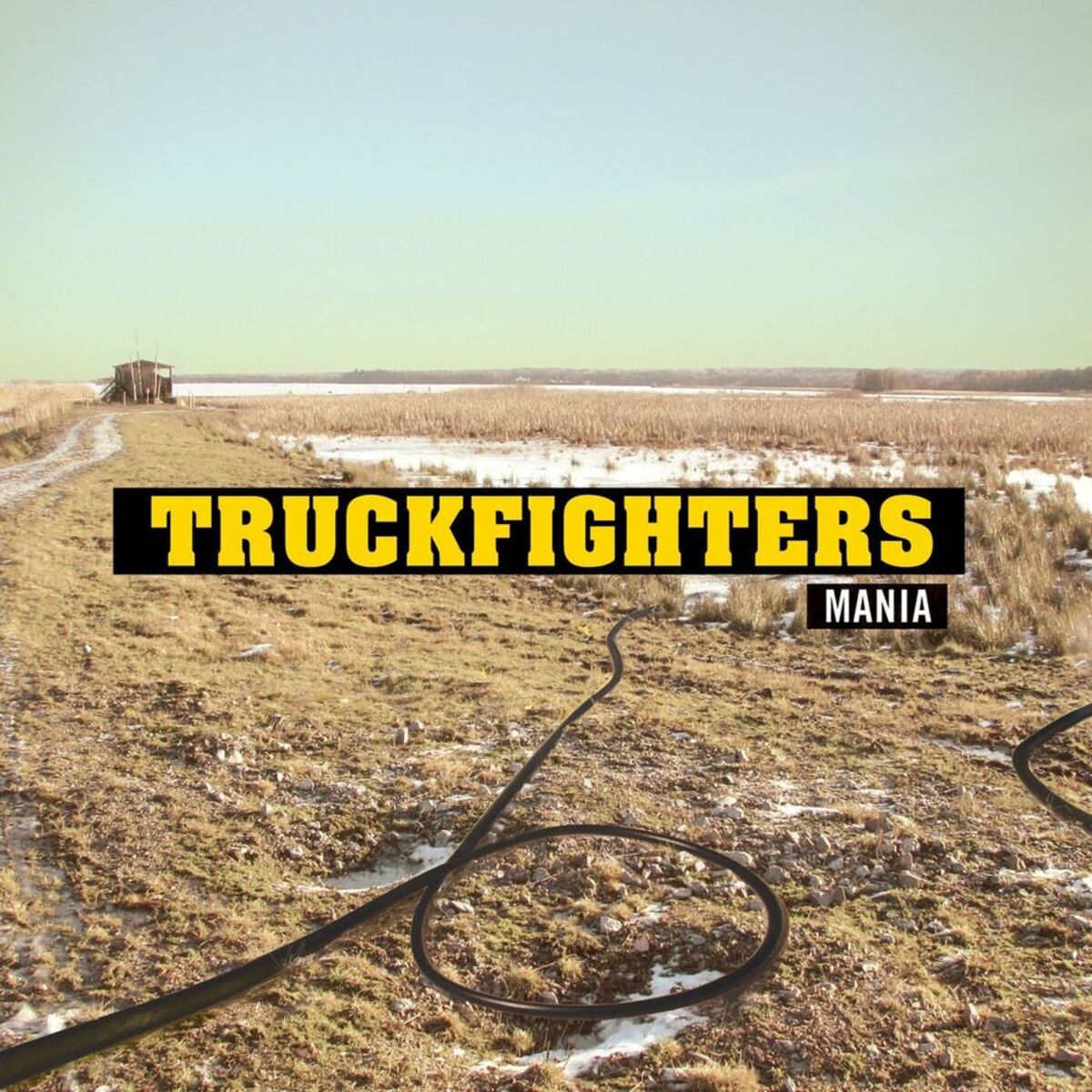 Album cover of Mania