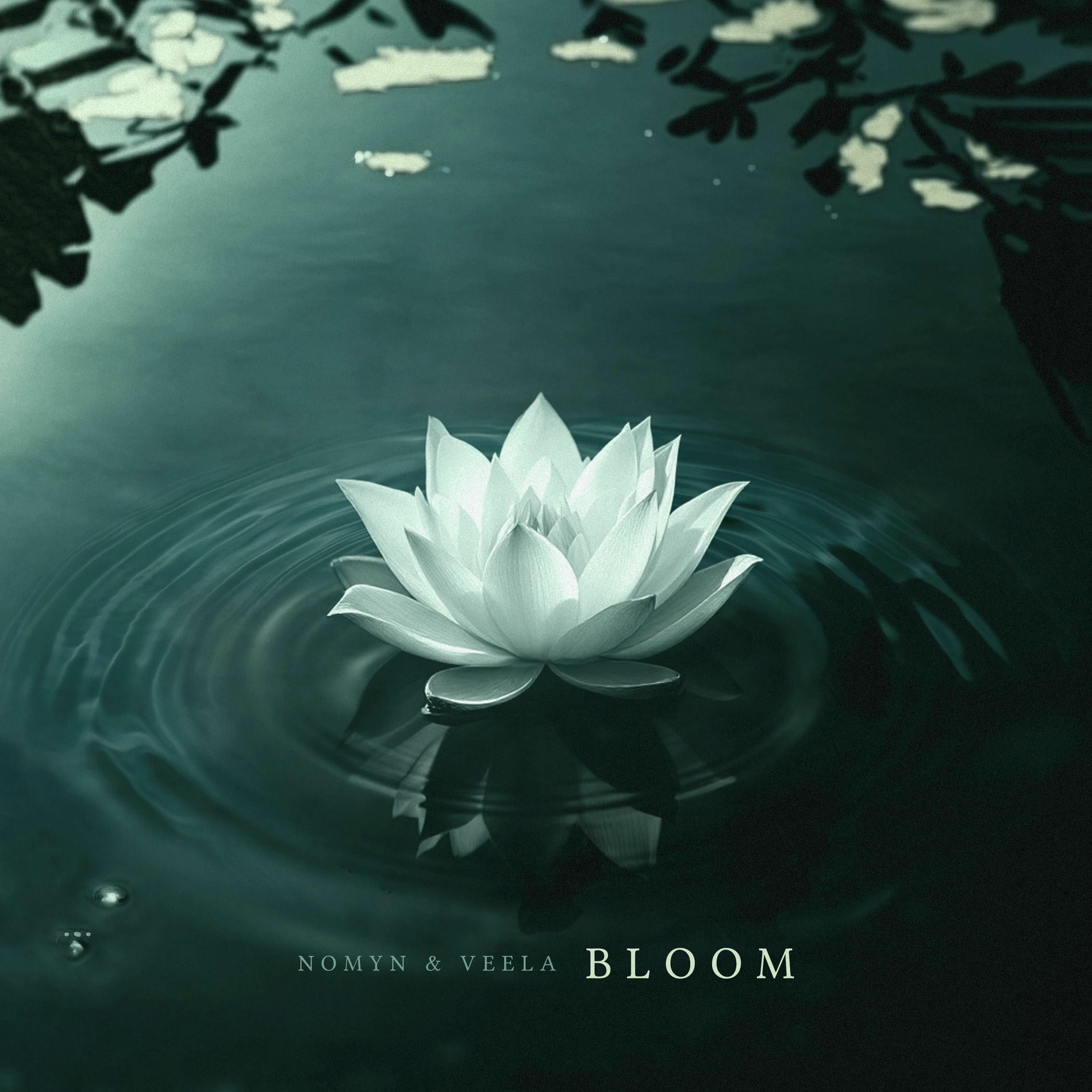 Album cover of Bloom