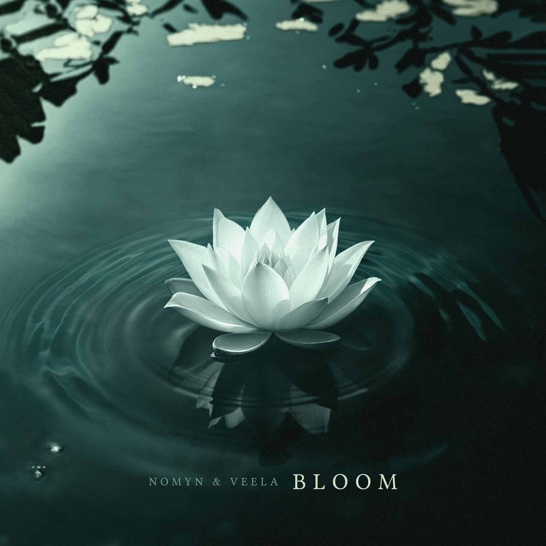 Album cover of Bloom