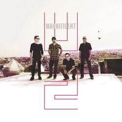 Cover of Magnificent