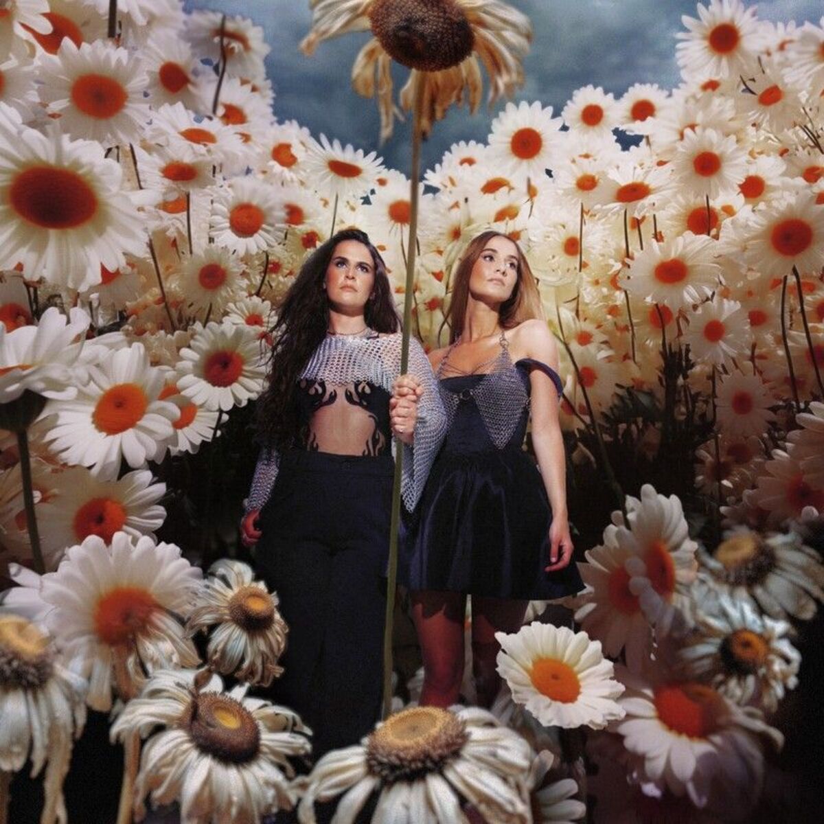 Album cover of The Death Of Daisies (Deluxe)