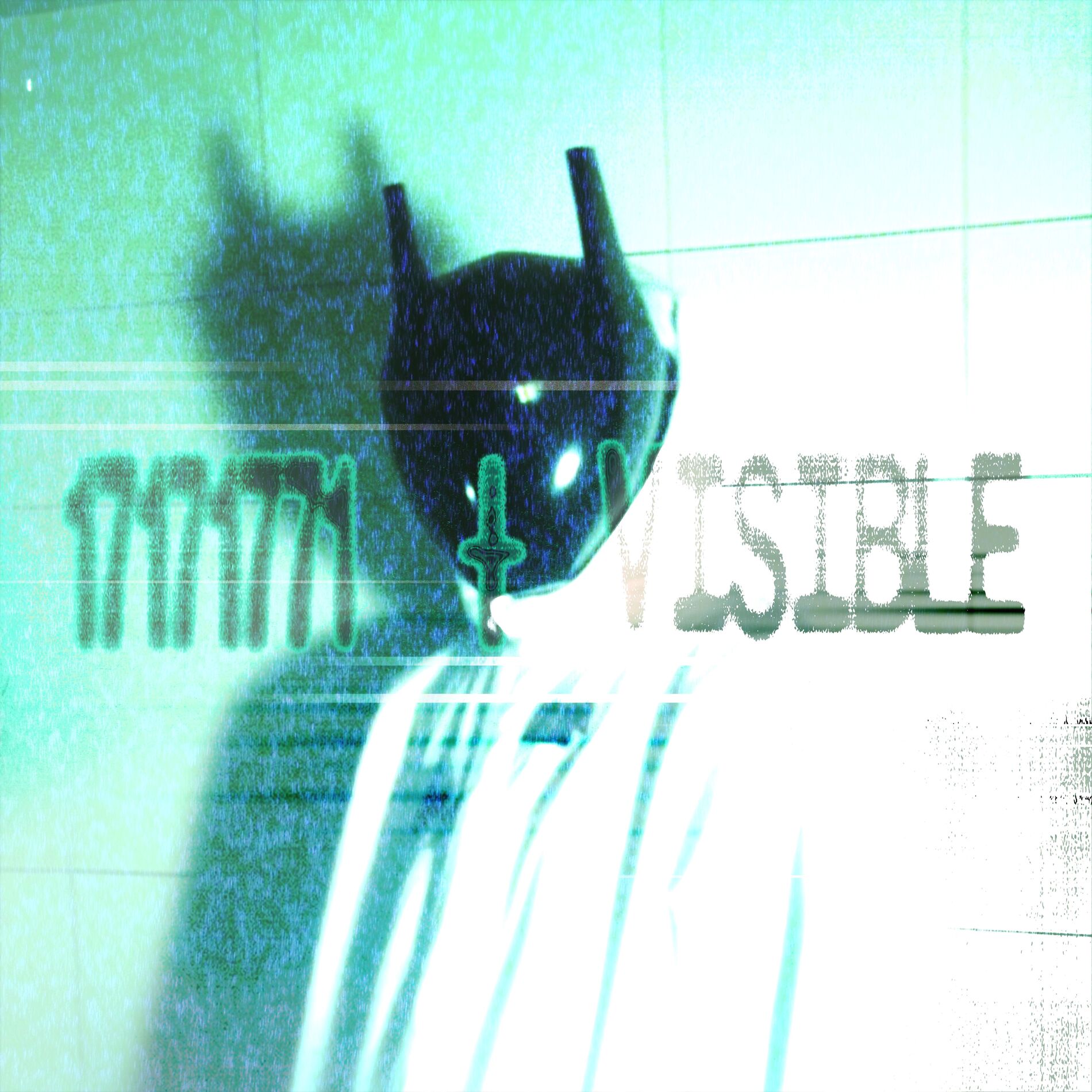 Album cover of 17171771+Visible