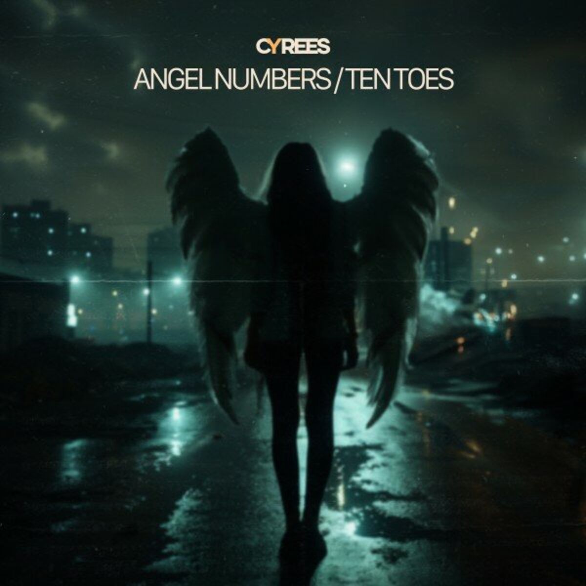 Album cover of Angel Numbers / Ten Toes