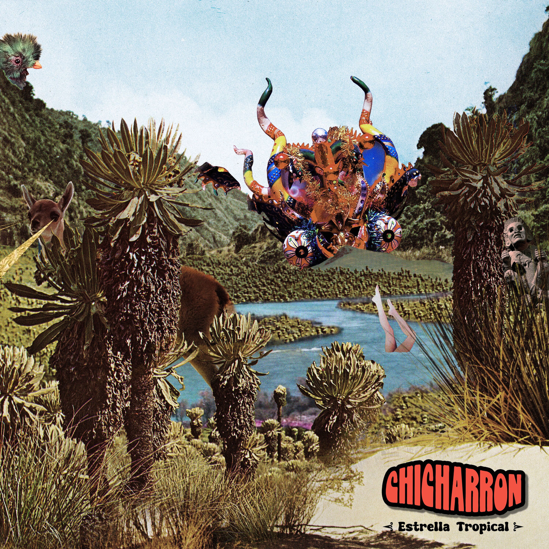 Album cover of Estrella Tropical