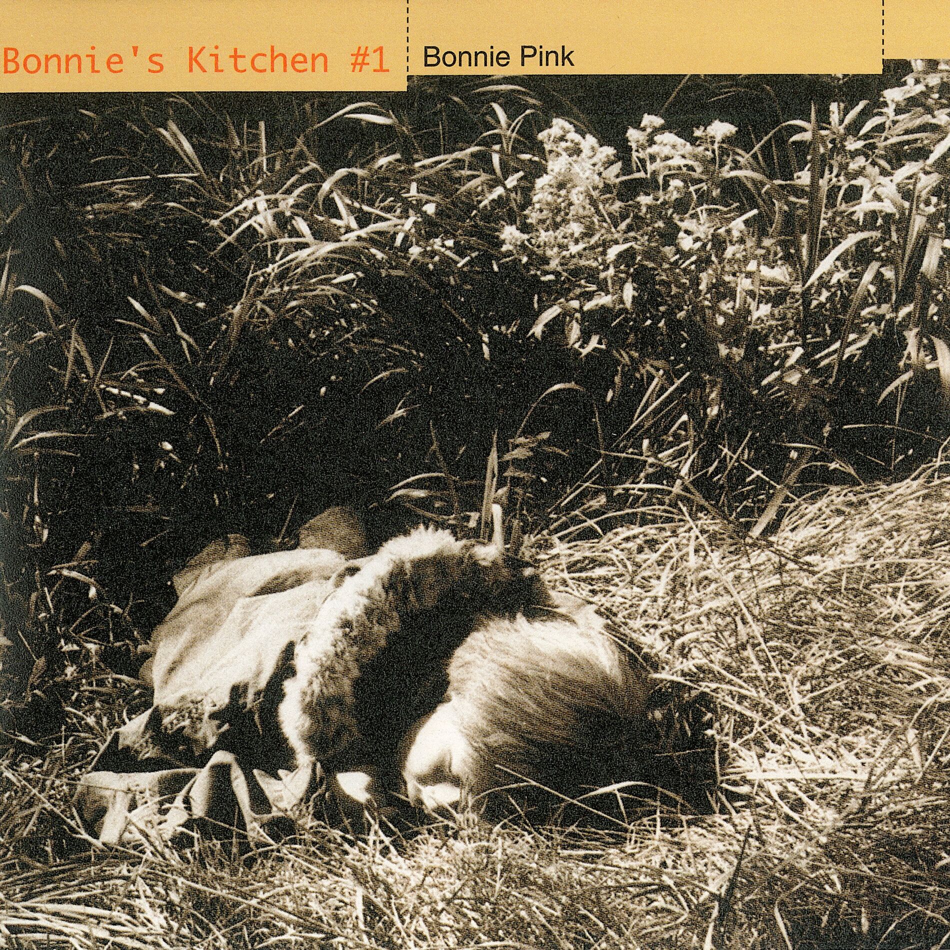 Album cover of Bonnie's Kitchen #1
