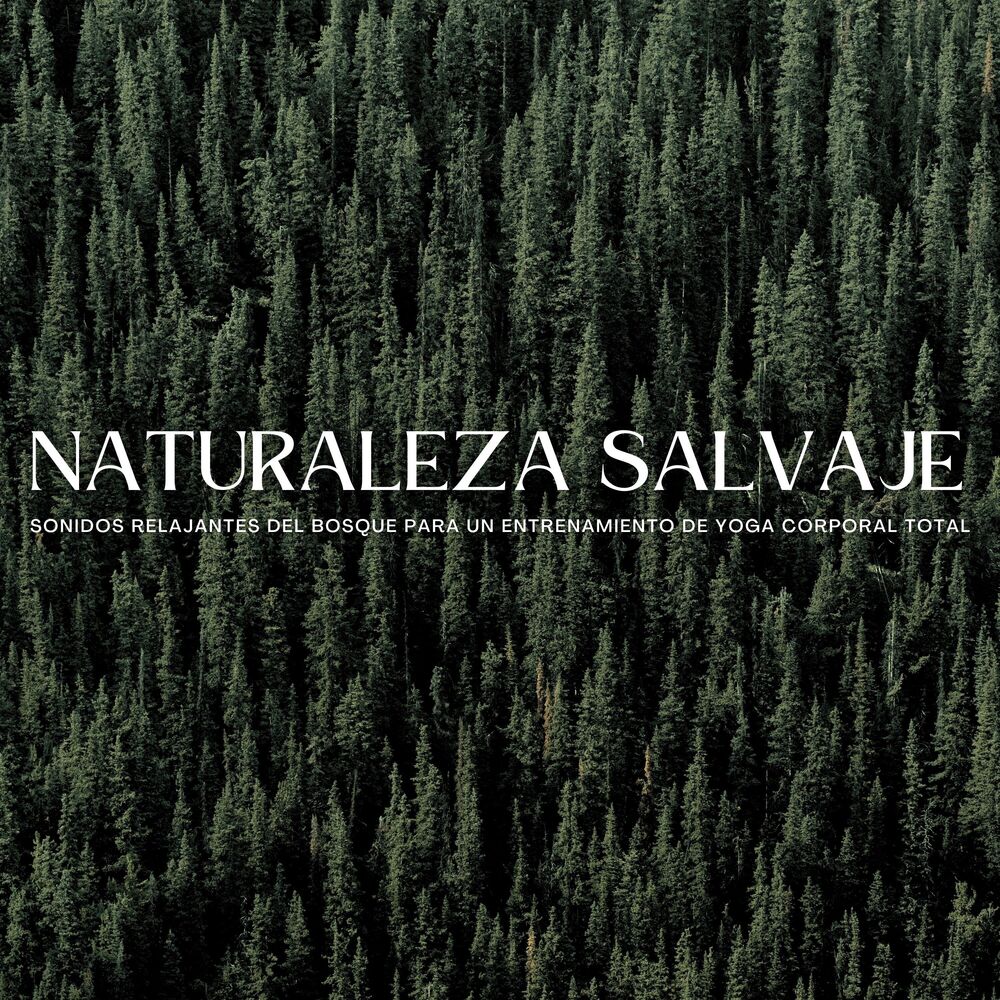 Picture of Naturaleza Salvaje: Sonidos Relajantes Del Bosque Para Un Entrenamiento De Yoga Corporal Total