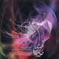 Cover of Colorful Garment