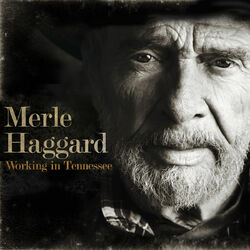 Cover of Working In Tennessee