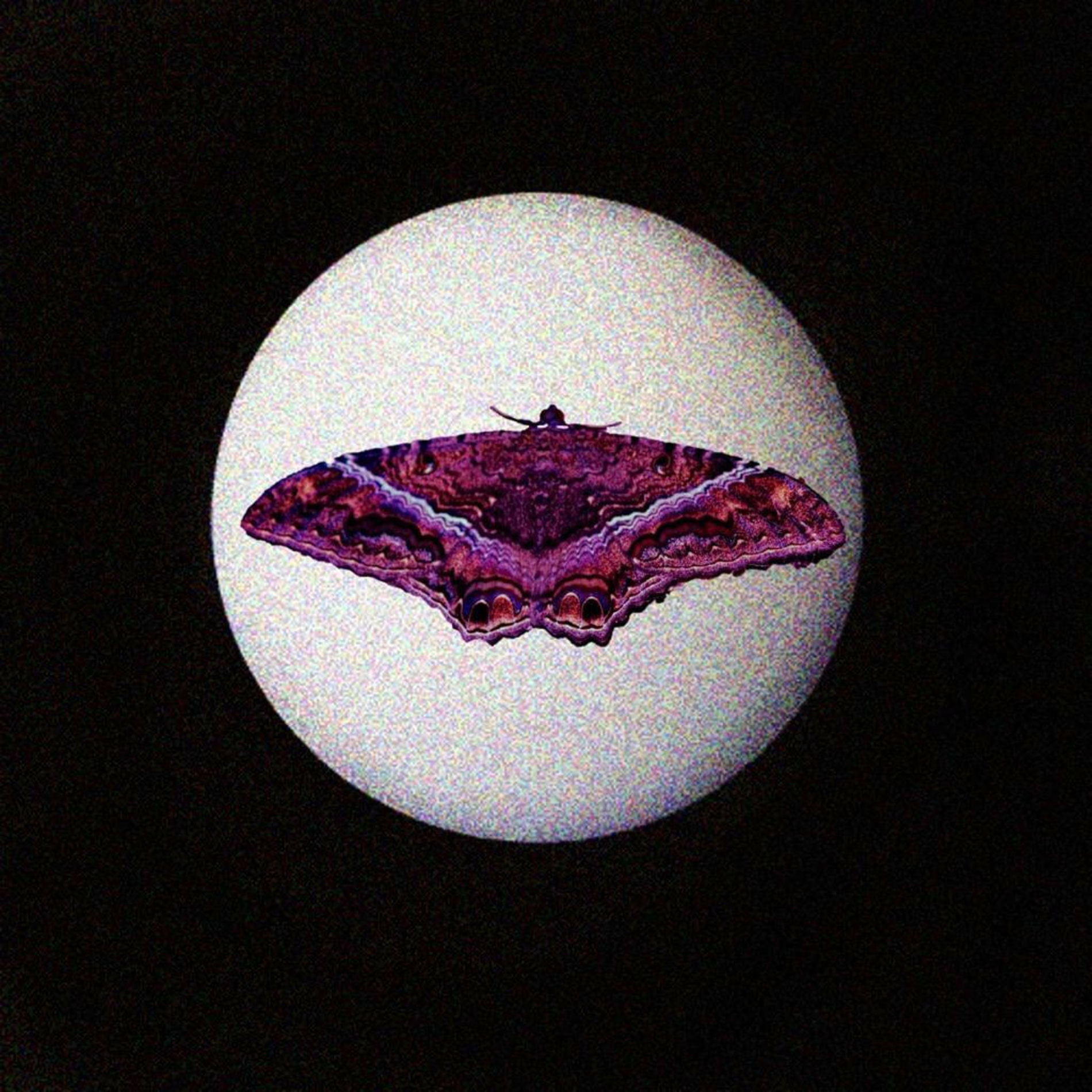 Album cover of Selene
