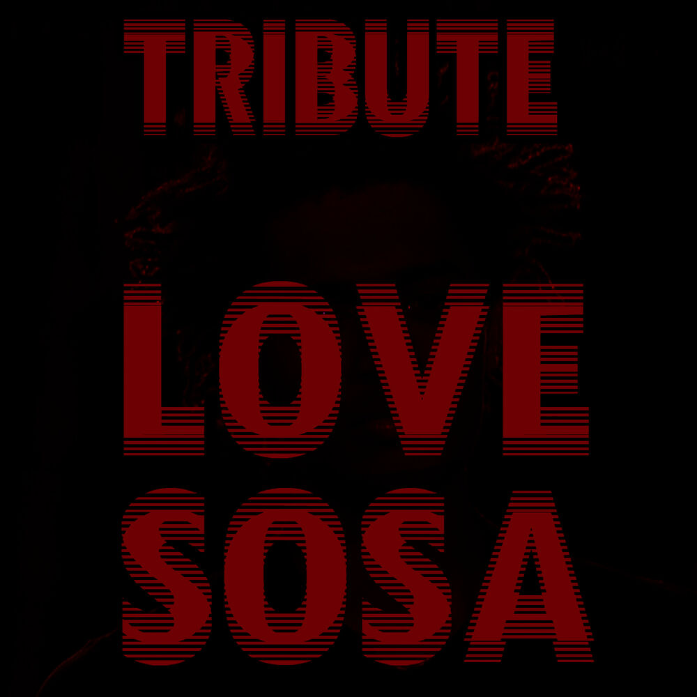 Picture of Love Sosa