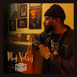 Cover of Meus Valores
