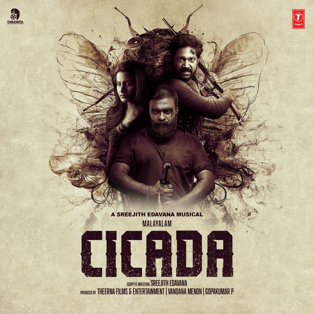 Picture of Cicada