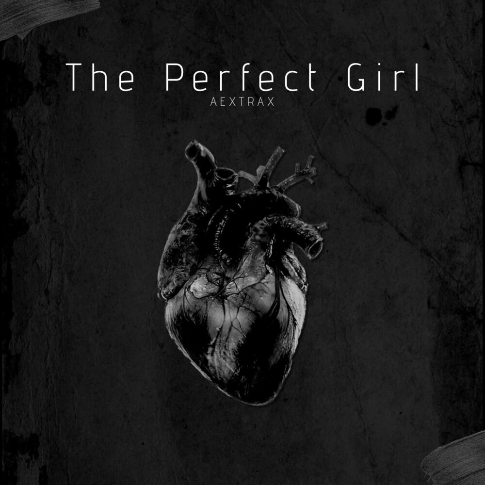 Picture of The Perfect Girl (Hard Techno Remix)